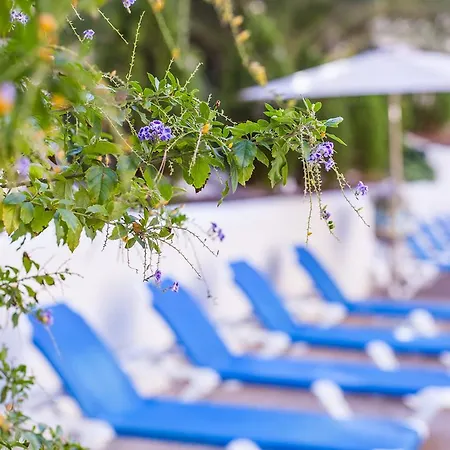 Hotel Calas Marina Benidorm